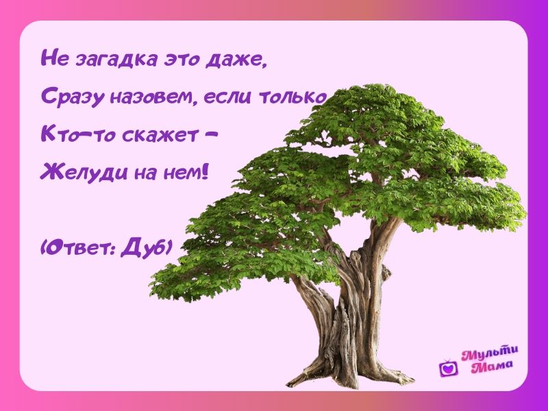 Загадки о весне с ответами