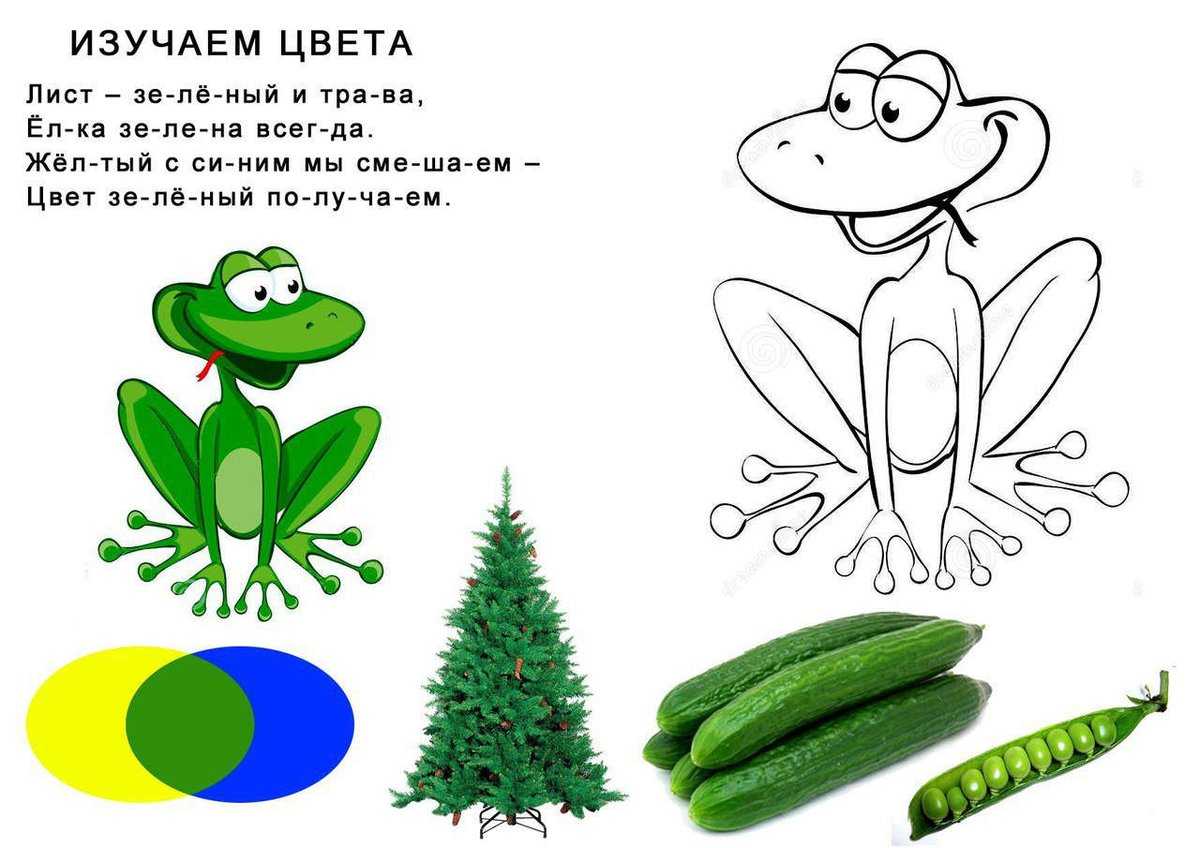 Как выучить с ребенком цвета: 20 стихов и загадок для детей