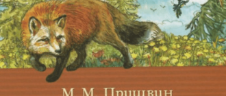 Сочинение егэ по тексту пришвина в первую мировую войну