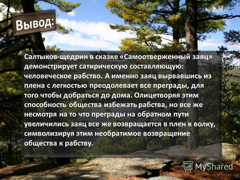 «бедный волк»