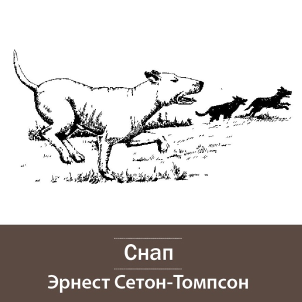 ✅ снап читать краткое содержание. э - mymets.ru