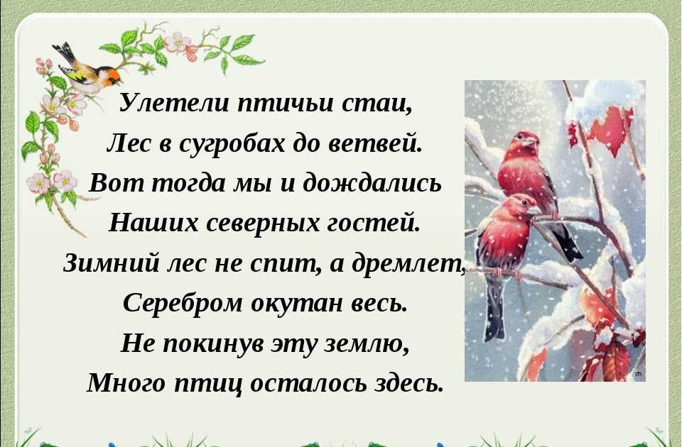 Зимующие птицы: стихи, раскраски, кроссворд