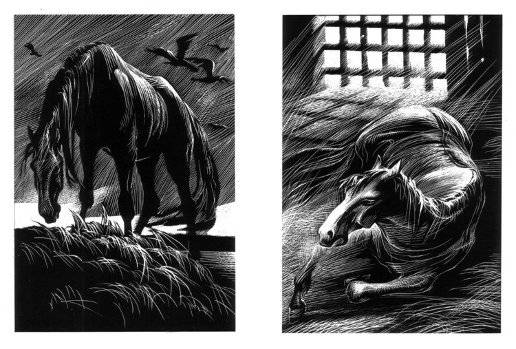Холстомер. — кратко для сочинений и пересказов для школьников и студентов