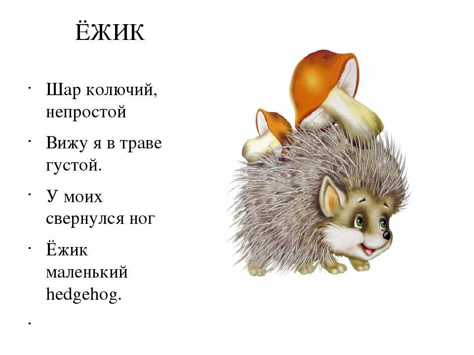 Праздник осени «ёжик». воспитателям детских садов, школьным учителям и педагогам - маам.ру