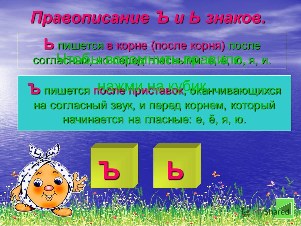 Мягкий знак – правила употребления в русском языке