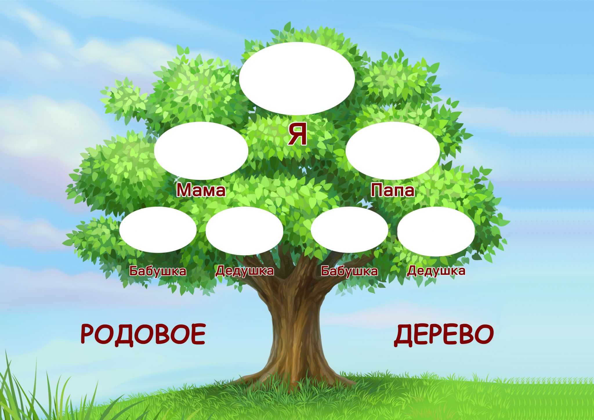 Как нарисовать семейное дерево - рисовака