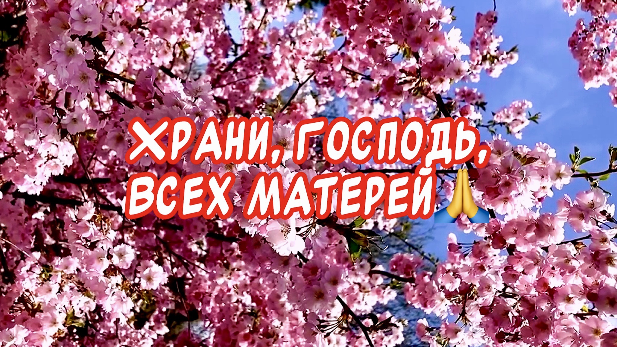 Стихи про зож