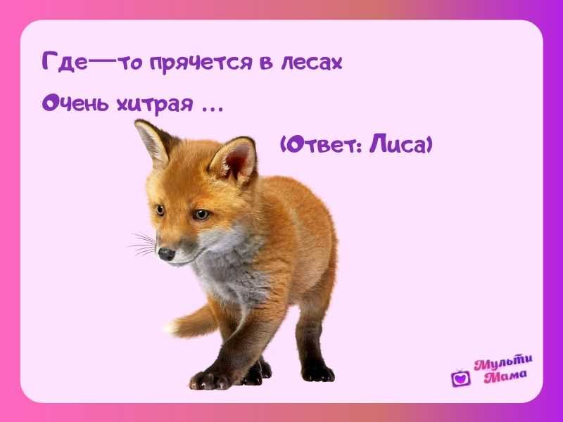 Загадки про лису для детей разного возраста