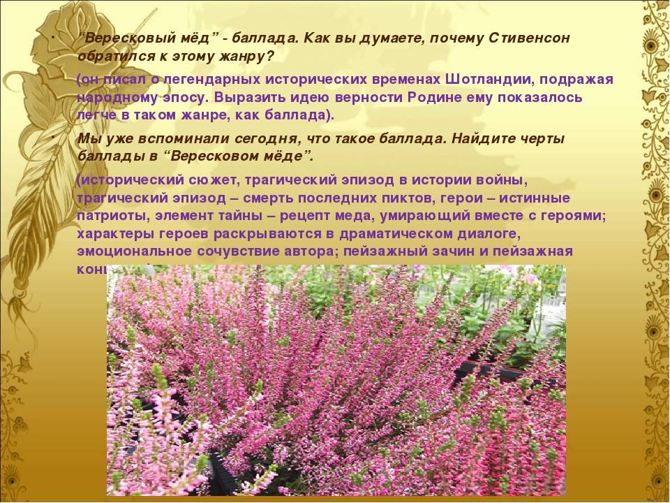 Литкульт — анализ баллады вересковый мед стивенсона