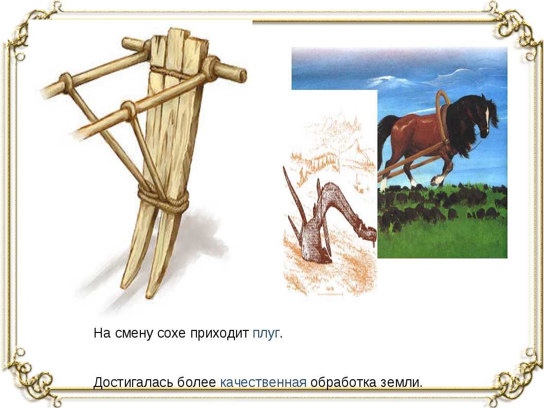 Загадки про деревню, деревенскую утварь для детей 6-8 лет с ответами