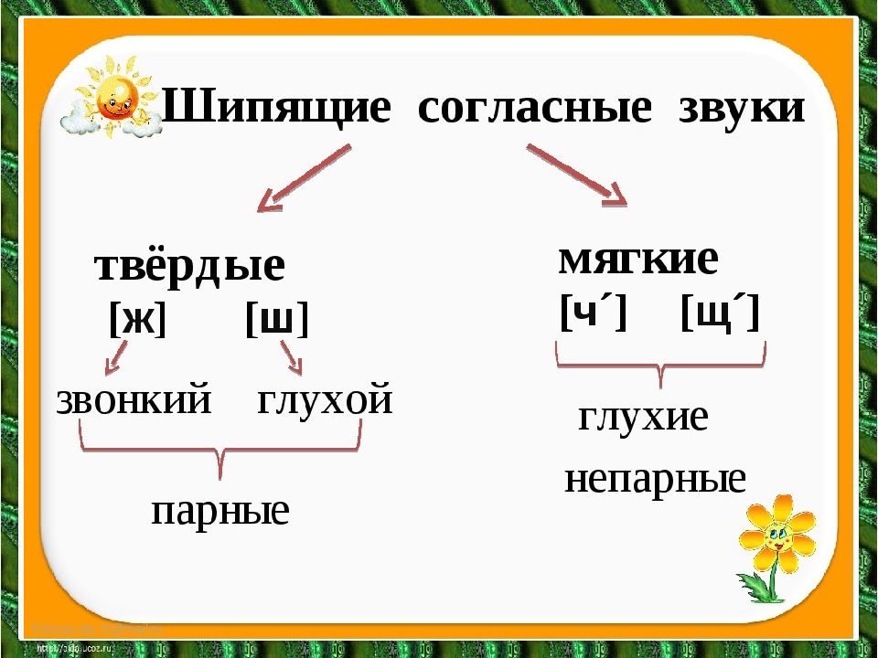 Мягкие и твёрдые согласные / согласные звуки и буквы, их обозначающие / звуки и буквы / справочник по русскому языку для начальной школы