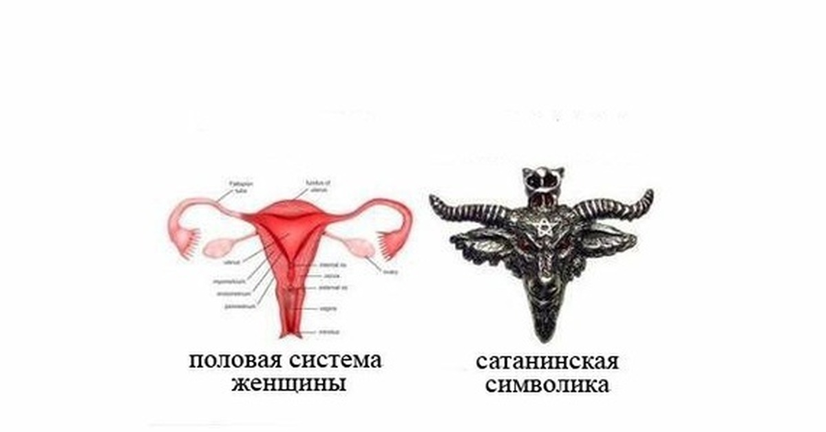 Пол лунтика: мальчик или девочка? ответы на самые распространенные вопросы о поле главного героя мультсериала лунтик